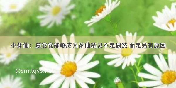 小花仙：夏安安能够成为花仙精灵不是偶然 而是另有原因