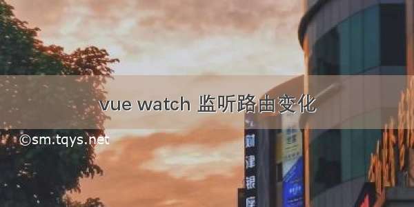 vue watch 监听路由变化