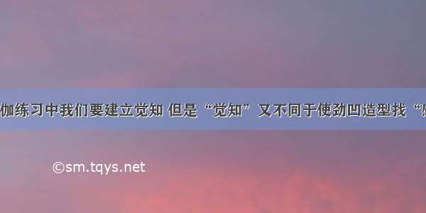 在瑜伽练习中我们要建立觉知 但是“觉知”又不同于使劲凹造型找“感觉”