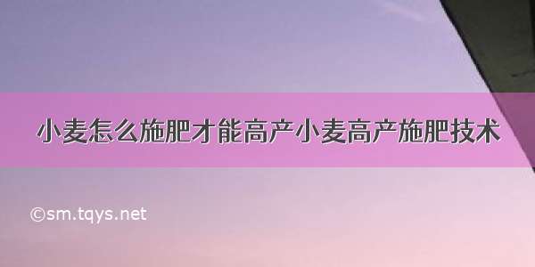 小麦怎么施肥才能高产小麦高产施肥技术