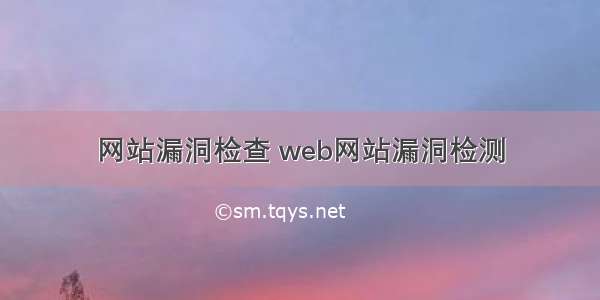 网站漏洞检查 web网站漏洞检测