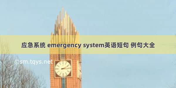 应急系统 emergency system英语短句 例句大全