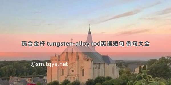 钨合金杆 tungsten-alloy rod英语短句 例句大全