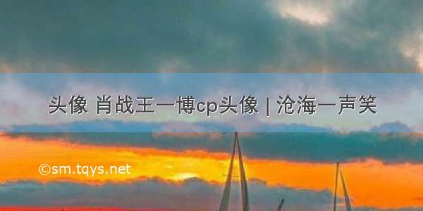 头像 肖战王一博cp头像 | 沧海一声笑