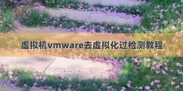 虚拟机vmware去虚拟化过检测教程