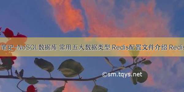 Redis 学习笔记-NoSQL数据库 常用五大数据类型 Redis配置文件介绍 Redis的发布和