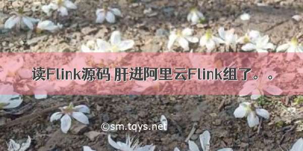 读Flink源码 肝进阿里云Flink组了。。