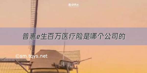 普惠e生百万医疗险是哪个公司的