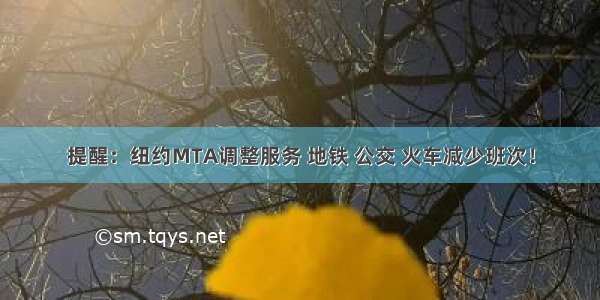 提醒：纽约MTA调整服务 地铁 公交 火车减少班次！