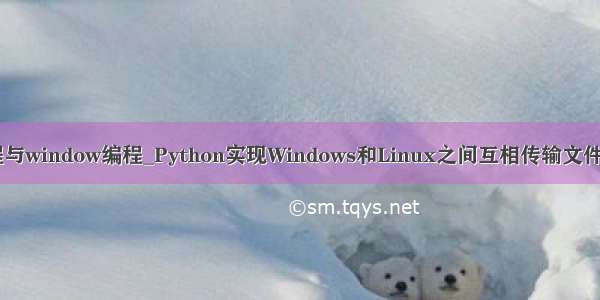 python linux编程与window编程_Python实现Windows和Linux之间互相传输文件(文件夹)的方法...