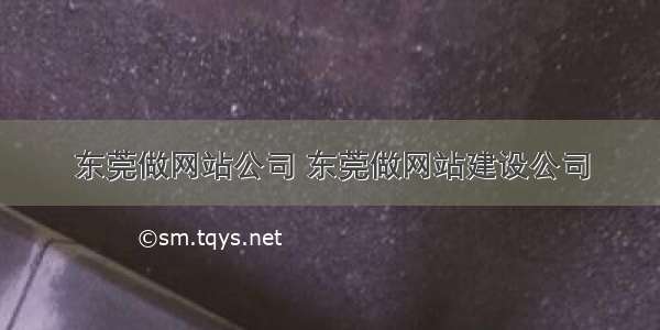 东莞做网站公司 东莞做网站建设公司