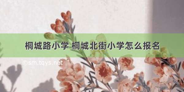 桐城路小学 桐城北街小学怎么报名