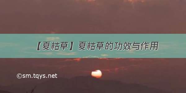 【夏枯草】夏枯草的功效与作用