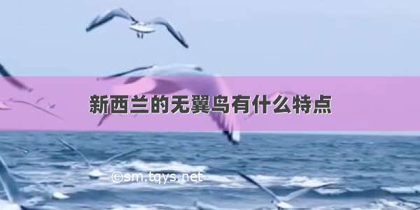 新西兰的无翼鸟有什么特点