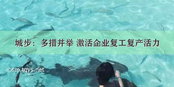 城步：多措并举 激活企业复工复产活力