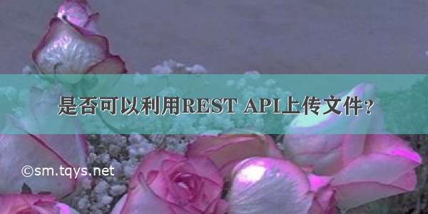 是否可以利用REST API上传文件？