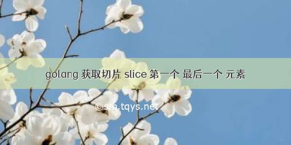 golang 获取切片 slice 第一个 最后一个 元素