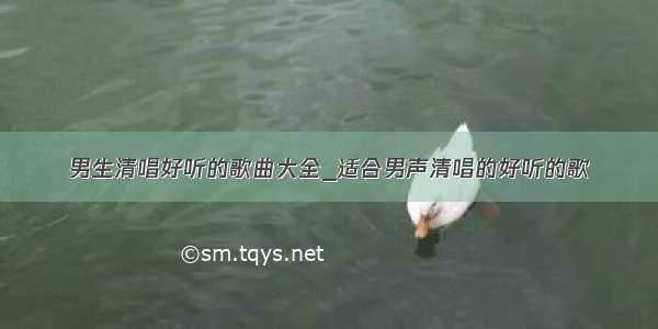 男生清唱好听的歌曲大全_适合男声清唱的好听的歌