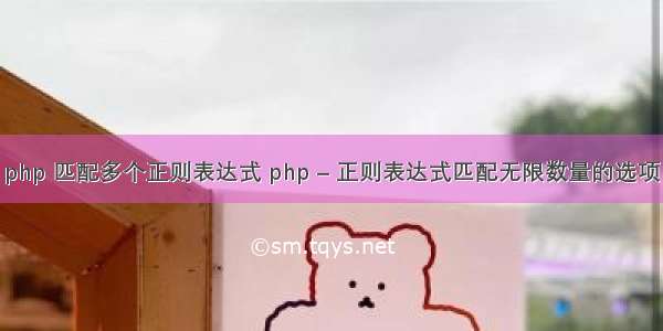 php 匹配多个正则表达式 php – 正则表达式匹配无限数量的选项