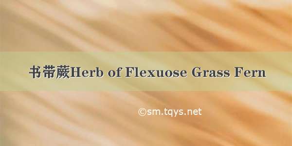 书带蕨Herb of Flexuose Grass Fern