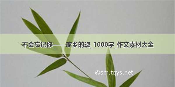 不会忘记你——家乡的魂_1000字_作文素材大全