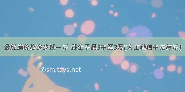 金线莲价格多少钱一斤 野生干品3千至3万(人工种植千元每斤)