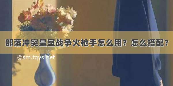 部落冲突皇室战争火枪手怎么用？怎么搭配？