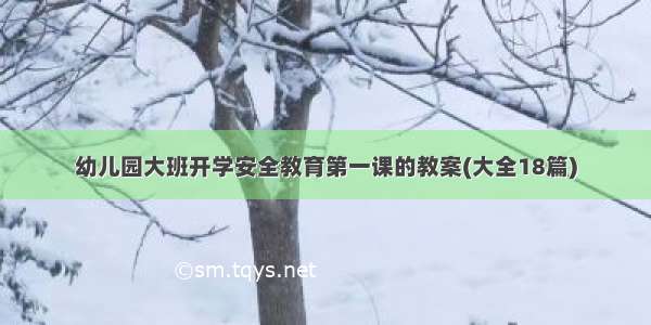 幼儿园大班开学安全教育第一课的教案(大全18篇)