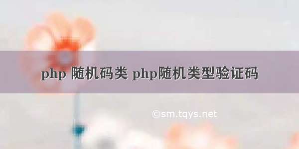 php 随机码类 php随机类型验证码