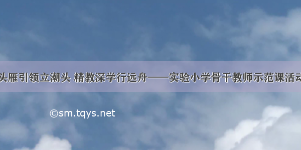 头雁引领立潮头 精教深学行远舟——实验小学骨干教师示范课活动