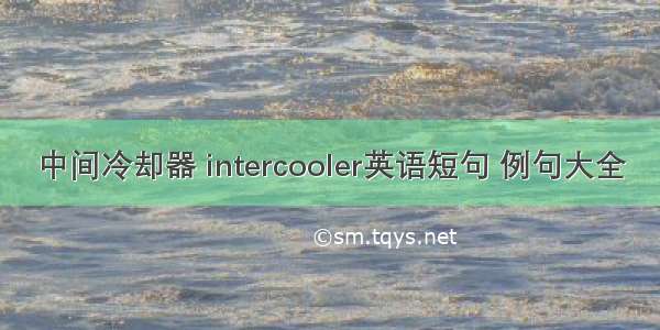 中间冷却器 intercooler英语短句 例句大全