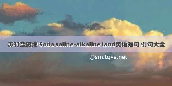 苏打盐碱地 Soda saline-alkaline land英语短句 例句大全