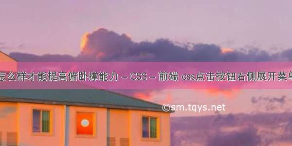 怎么样才能提高俯卧撑能力 – CSS – 前端 css点击按钮右侧展开菜单