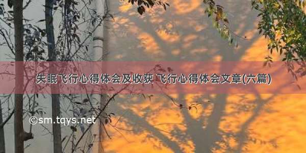 失眠飞行心得体会及收获 飞行心得体会文章(六篇)