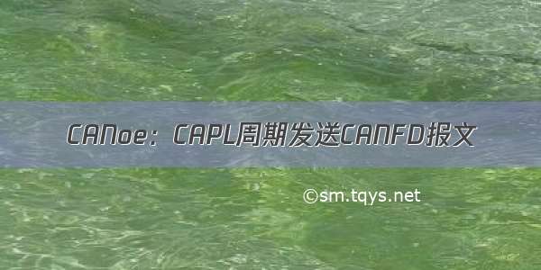 CANoe：CAPL周期发送CANFD报文