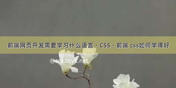 前端网页开发需要学习什么语言 – CSS – 前端 css如何学得好