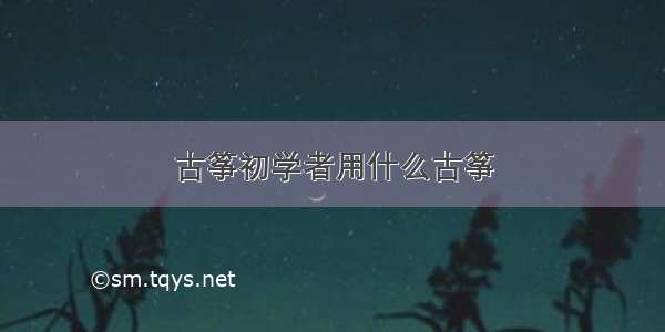 古筝初学者用什么古筝