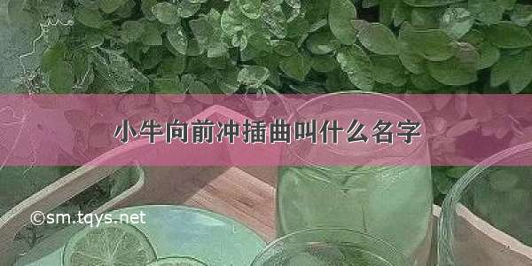 小牛向前冲插曲叫什么名字