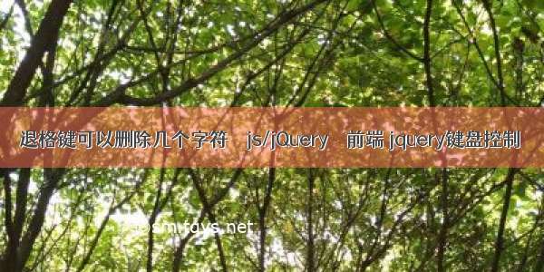 退格键可以删除几个字符 – js/jQuery – 前端 jquery键盘控制