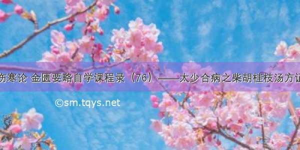 伤寒论 金匮要略自学课程录（76）——太少合病之柴胡桂枝汤方证