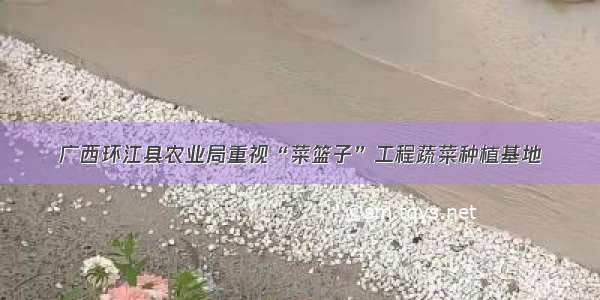广西环江县农业局重视“菜篮子”工程蔬菜种植基地