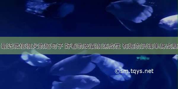 最近微信很火的短句子 好看的皮囊浪荡成性 有趣的灵魂单身成瘾