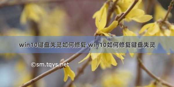 win10键盘失灵如何修复 win10如何修复键盘失灵