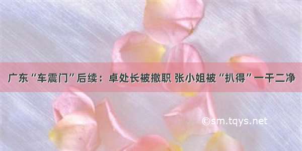 广东“车震门”后续：卓处长被撤职 张小姐被“扒得”一干二净