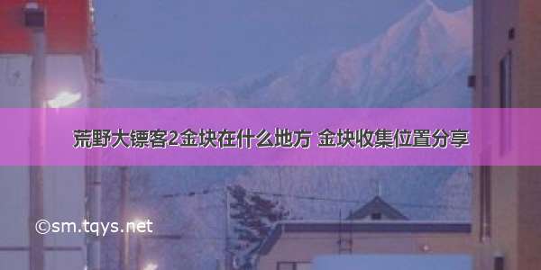 荒野大镖客2金块在什么地方 金块收集位置分享