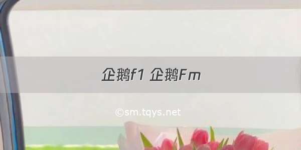 企鹅f1 企鹅Fm