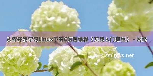 从零开始学习Linux下的C语言编程（实战入门教程） – 网络