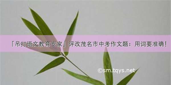 「吊打语文教育专家」评改茂名市中考作文题：用词要准确！