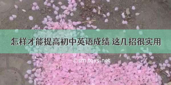 怎样才能提高初中英语成绩 这几招很实用