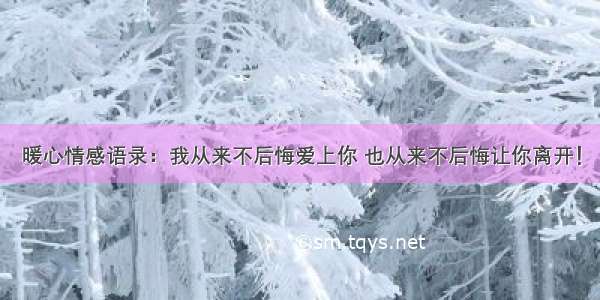 暖心情感语录：我从来不后悔爱上你 也从来不后悔让你离开！